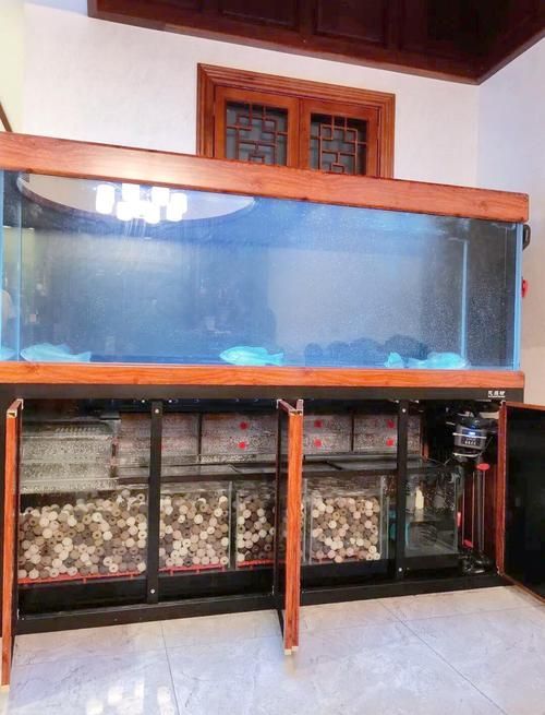 有沒有更多頂級龍魚缸的圖片，探索頂級龍魚缸的視覺盛宴