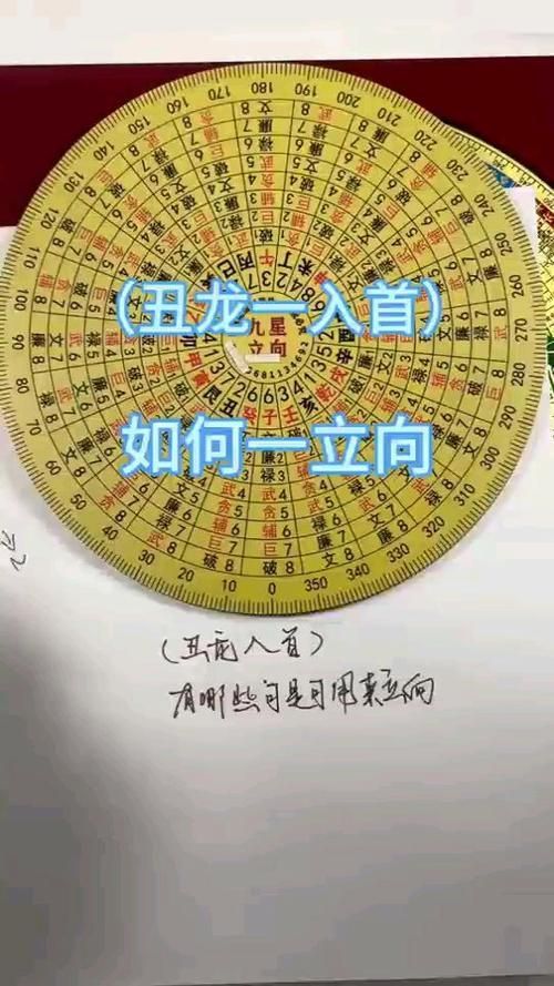 龍頭的朝向正確圖片，探討“龍頭的朝向正確圖片”時(shí) 龍頭的朝向正確圖片，探討“龍頭的朝向正確圖片”時(shí) 龍魚百科 第1張