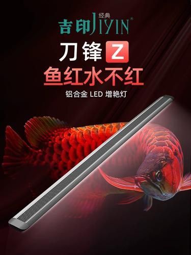 有沒有推薦的龍魚燈品牌？，龍魚燈品牌推薦：馬印神燈plus系列龍魚燈