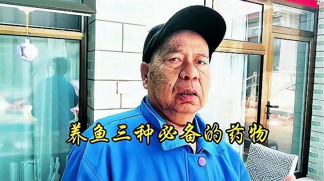 有哪些藥物可以治療魚類細菌性疾病，養魚必備的三種藥物