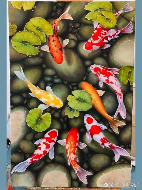 風(fēng)水魚種類，風(fēng)水魚的種類及其寓意解析