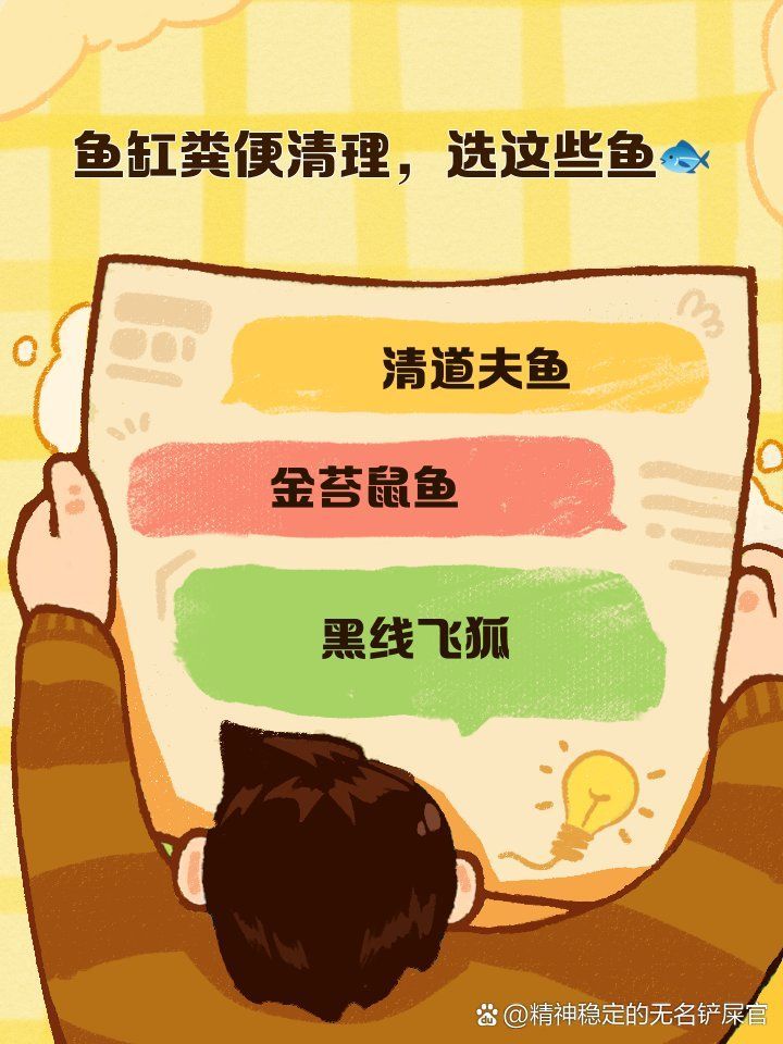 哪種生物清理魚缸糞便最有效，哪種生物清理魚缸糞便最省心