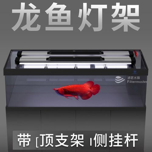 紅龍魚缸多大適合使用6700K燈管，紅龍魚缸6700k燈管尺寸選擇對于使用6700k燈管至關(guān)重要