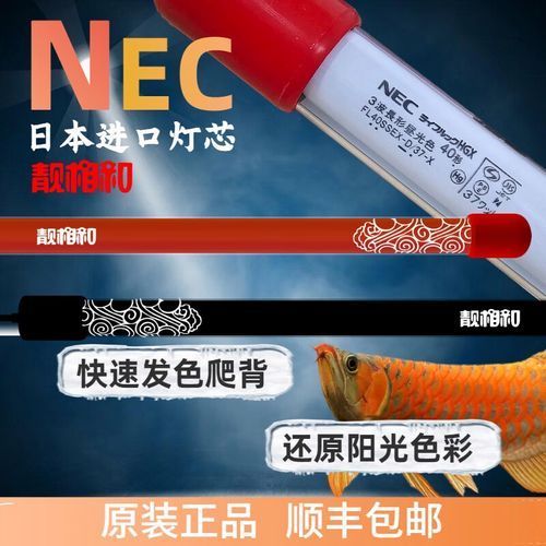 紅龍魚缸多大適合使用6700K燈管，紅龍魚缸6700k燈管尺寸選擇對于使用6700k燈管至關(guān)重要