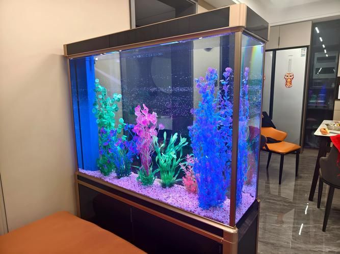 森森魚缸有哪些型號，森森魚缸型號介紹