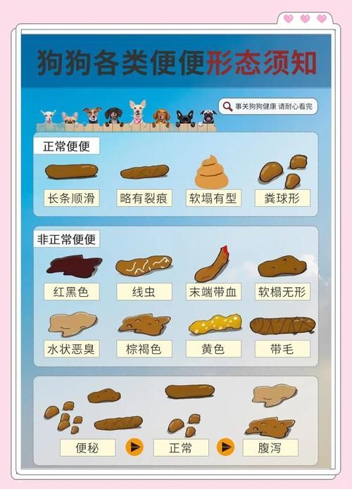 如何判斷魚腸炎是否完全好轉(zhuǎn)，三甲醫(yī)院消化科專家對(duì)腸炎康復(fù)判斷魚腸炎康復(fù)判斷權(quán)威建議