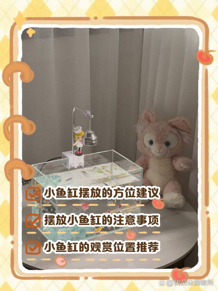 魚缸放客廳南方需要什么條件，家居風水：魚缸放在客廳南方有哪些講究？