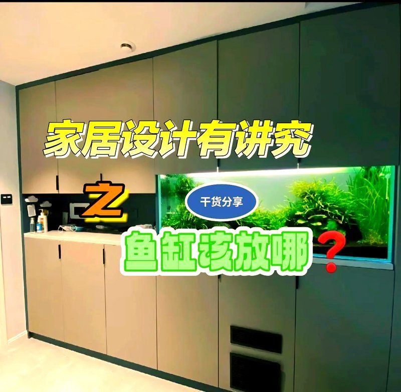 魚缸放客廳南方需要什么條件，家居風水：魚缸放在客廳南方有哪些講究？