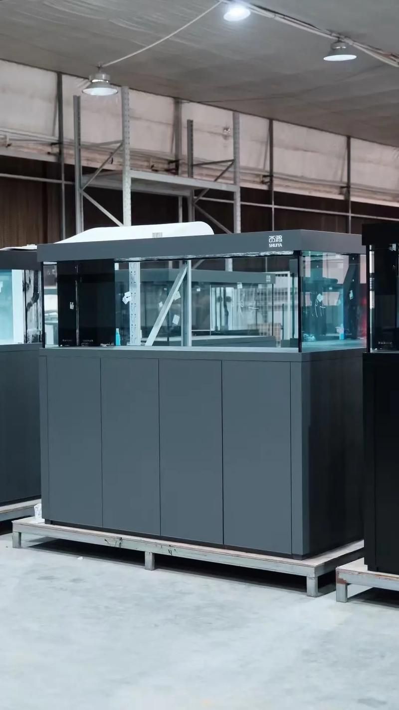 水鴨魚缸和祥龍魚場有何關聯？，水鴨魚缸和祥龍魚場之間存在關聯—養殖水鴨魚缸