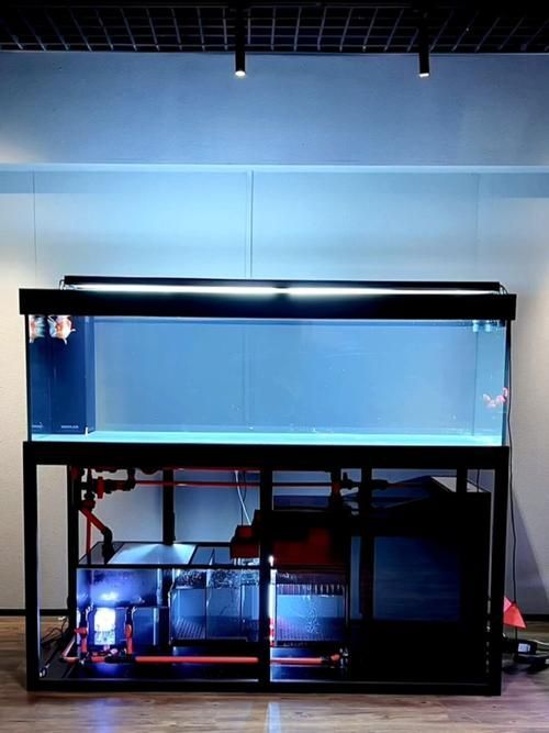 水鴨魚缸和祥龍魚場有何關聯？，水鴨魚缸和祥龍魚場之間存在關聯—養殖水鴨魚缸