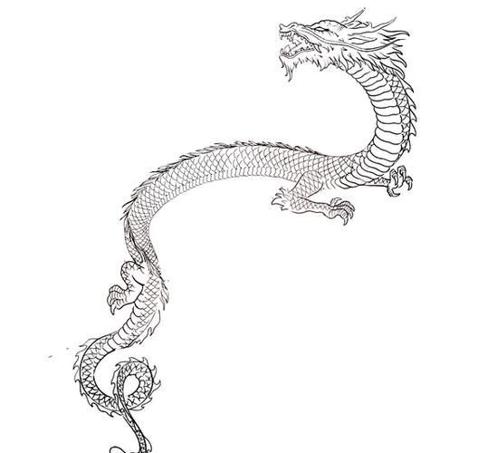 能給出五指山龍魚的簡單線稿嗎？，五指山龍魚的線描技法 能給出五指山龍魚的簡單線稿嗎？，五指山龍魚的線描技法 龍魚百科 第18張