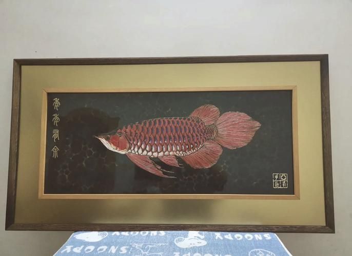 紫艷紅龍魚的市場價格是多少，紫艷紅龍魚的價格 紫艷紅龍魚的市場價格是多少，紫艷紅龍魚的價格 龍魚百科 第3張