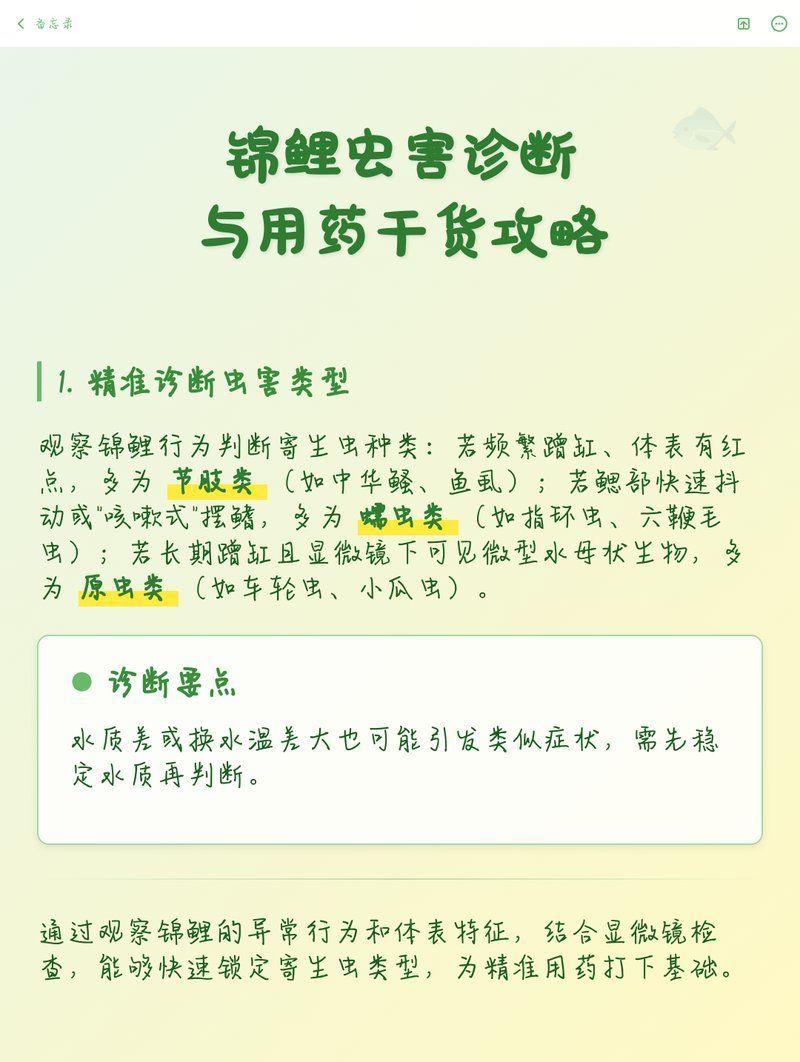 有哪些常見的錦鯉寄生蟲驅蟲藥推薦，智泓池藝楊工，盤點10種常見魚類寄生蟲防治指南