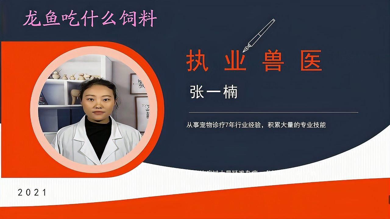 龍魚喂食頻率是多少，龍魚喂食頻率如何調整