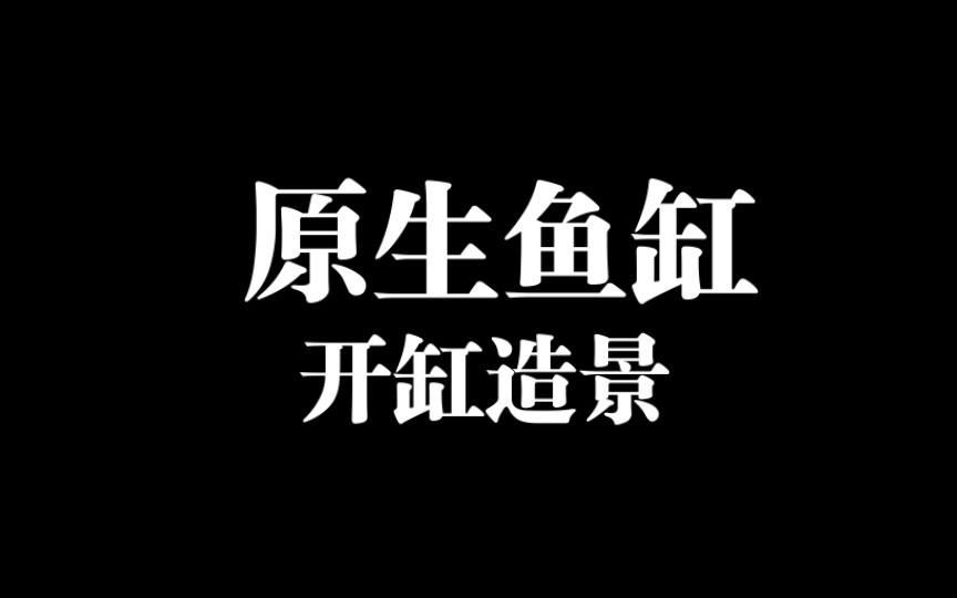 40缸養魚需要哪些設備，40缸養魚需要多大的過濾系統