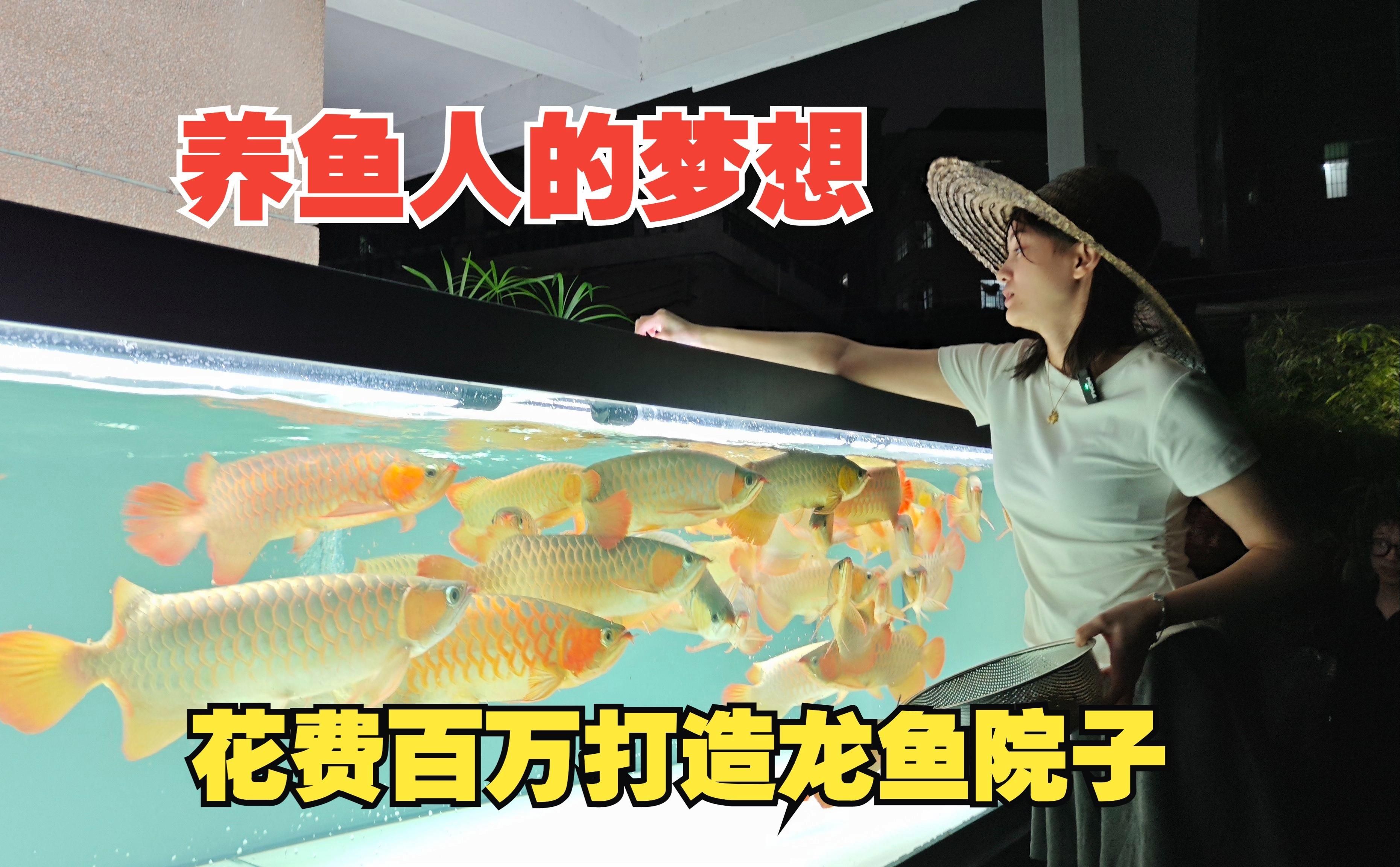 能否提供更多降低龍魚(yú)飼養(yǎng)成本的方法，如何降低龍魚(yú)飼養(yǎng)成本 能否提供更多降低龍魚(yú)飼養(yǎng)成本的方法，如何降低龍魚(yú)飼養(yǎng)成本 龍魚(yú)百科 第2張
