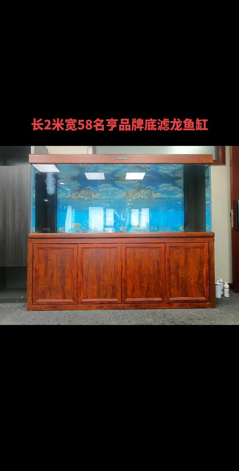 有哪些魚缸適合養(yǎng)龍魚？，如何選擇適合養(yǎng)龍魚的魚缸？