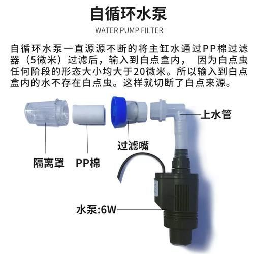 如何預(yù)防海水魚(yú)細(xì)菌感染