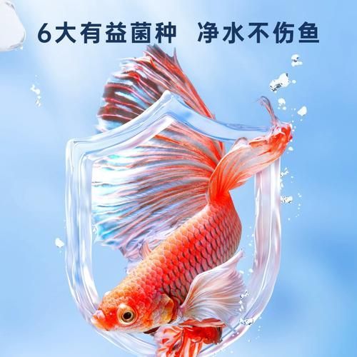 能否推薦一些適合裸缸的硝化細菌產品，硝化細菌產品推薦