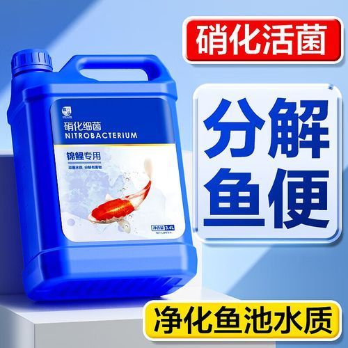 能否推薦一些適合裸缸的硝化細菌產品，硝化細菌產品推薦