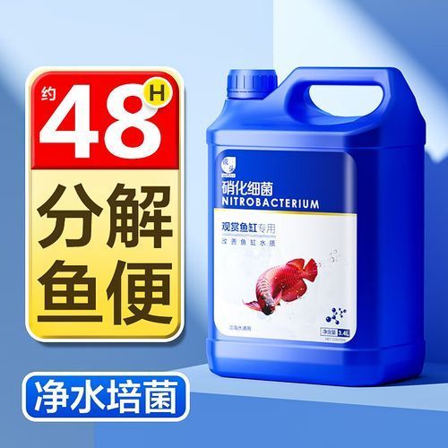 能否推薦一些適合裸缸的硝化細菌產品，硝化細菌產品推薦