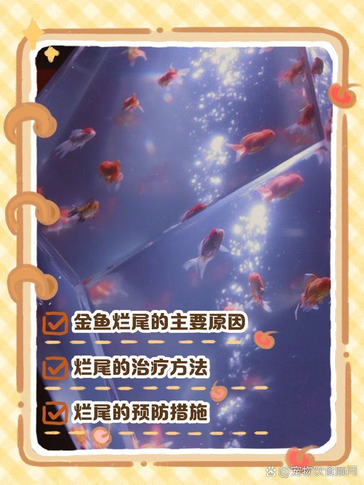 如何預防金魚爛尾再次發生，如何預防金魚爛尾