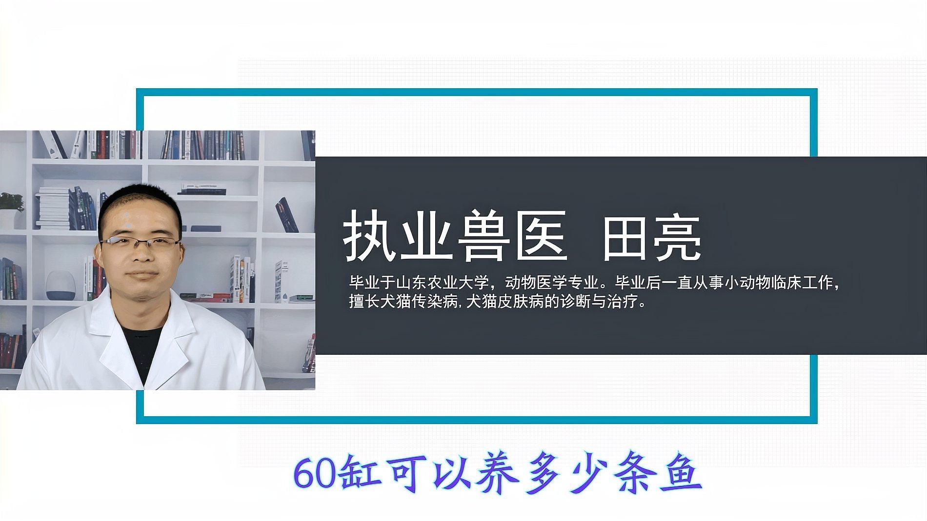 60升魚缸可以養多少條魚，60升魚缸可以養多少條魚60升魚缸需要哪些設備