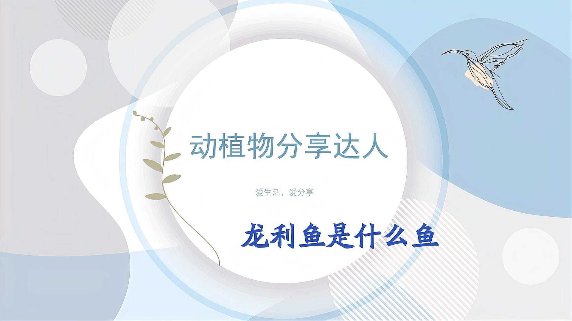 獨山龍魚和龍利魚有什么區別？，龍利魚和巴沙魚哪個更有營養龍利魚真假鑒別指南 獨山龍魚和龍利魚有什么區別？，龍利魚和巴沙魚哪個更有營養龍利魚真假鑒別指南 龍魚百科 第2張