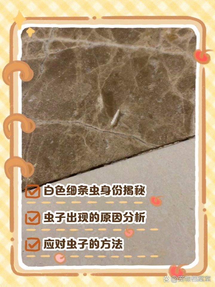 如何預防魚類感染白色線蟲，如何防止魚類感染白色線蟲