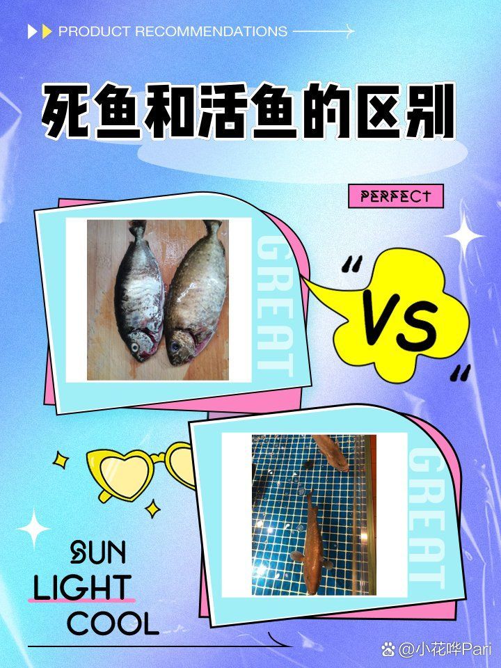 如何判斷魚(yú)是否死掉，如何判斷魚(yú)是否死亡