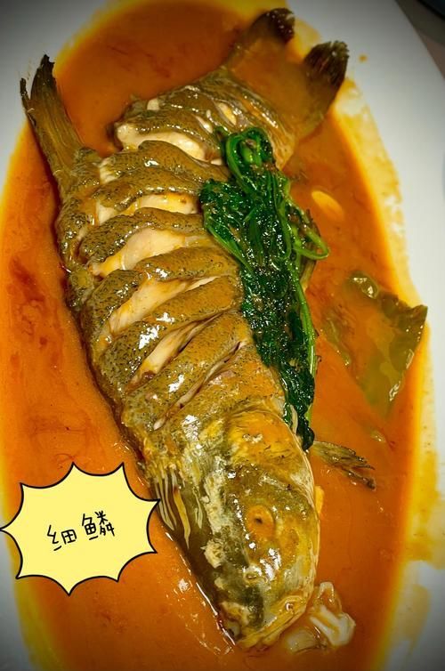 還有哪些化州龍魚的簡單做法？，化州龍魚的做法