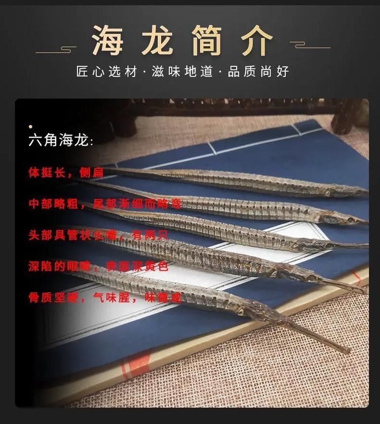 如何辨別真假海龍魚，如何辨別真假海龍魚（syngnathidae）真假海龍魚 如何辨別真假海龍魚，如何辨別真假海龍魚（syngnathidae）真假海龍魚 龍魚百科 第14張