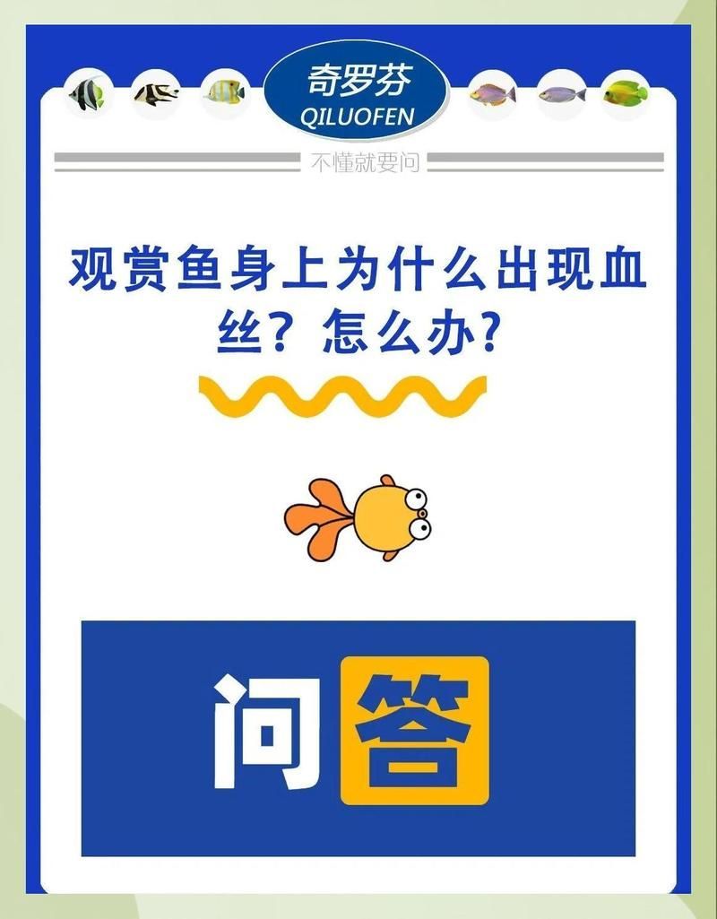 魚身上有血絲是什么原因，觀賞魚身上出現(xiàn)紅血絲，是病了嗎
