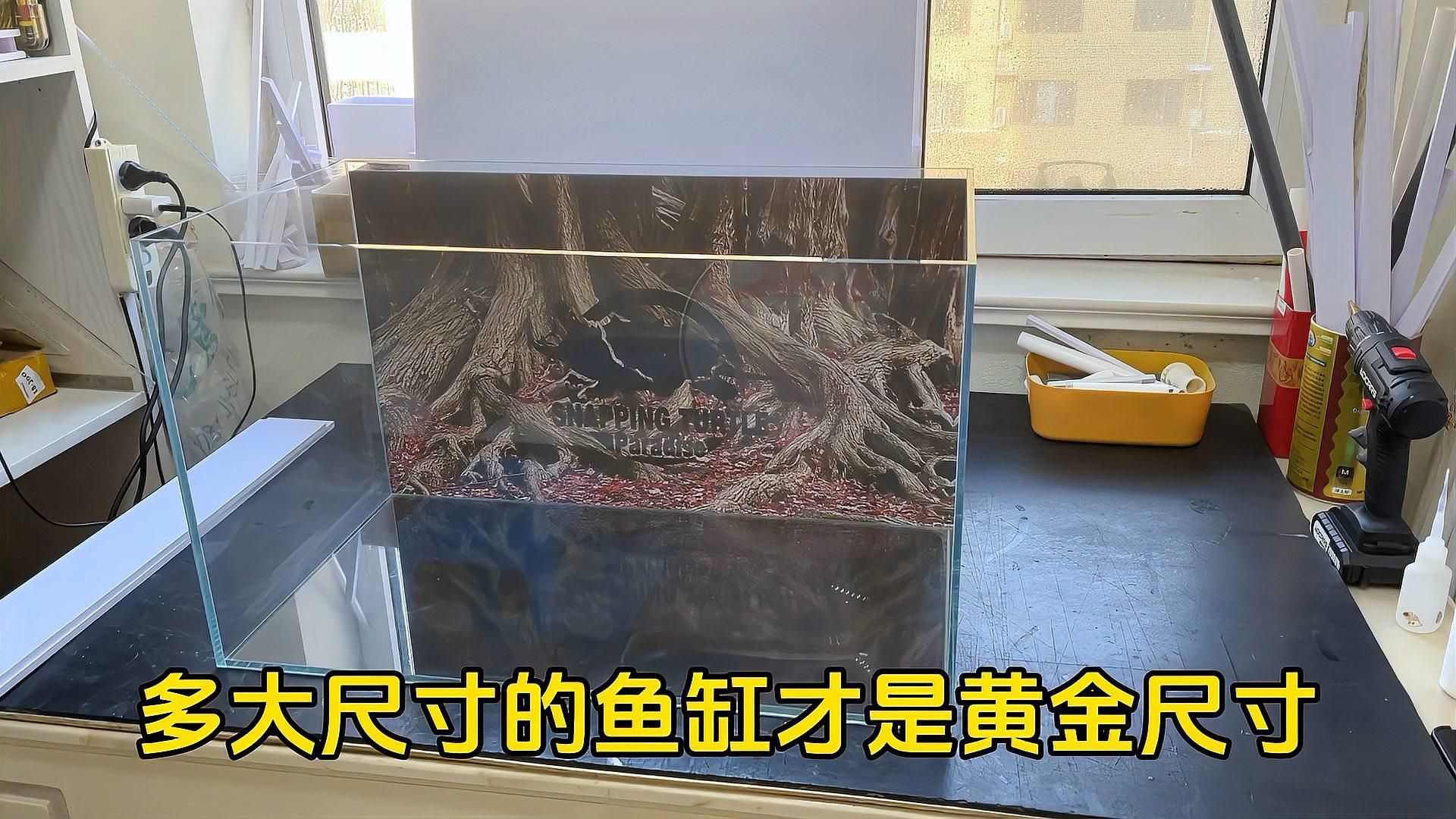魚缸的最佳尺寸是多少，|新手必看選購指南小魚兒天地魚缸配置清單 魚缸的最佳尺寸是多少，|新手必看選購指南小魚兒天地魚缸配置清單 龍魚百科 第2張