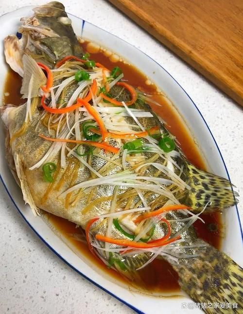 桂魚圖片大全，桂魚常見品種對比表，幫你快速分辨不同種類和生態(tài)差異