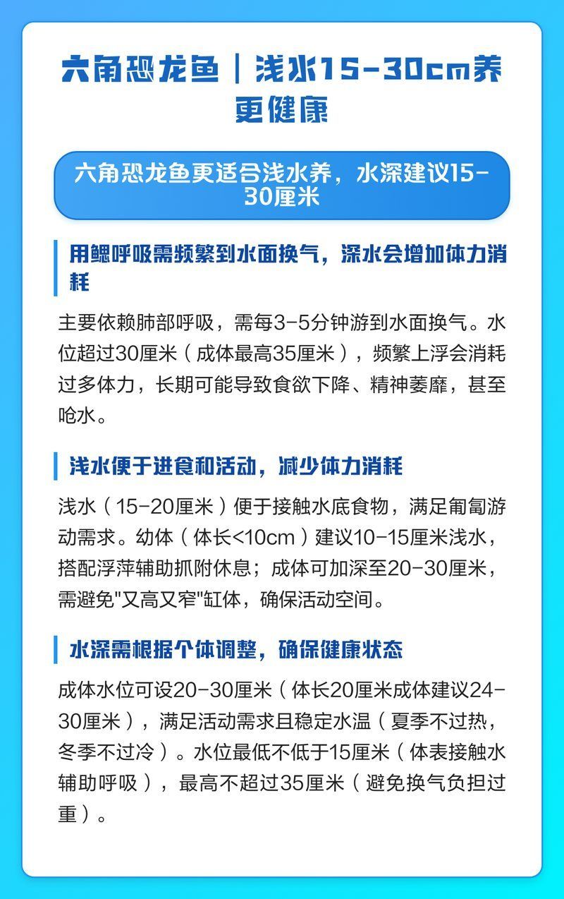 六角恐龍的最佳水位，六角恐龍分階段飼養水位對照表如何設置六角恐龍休息點 六角恐龍的最佳水位，六角恐龍分階段飼養水位對照表如何設置六角恐龍休息點 龍魚百科 第1張