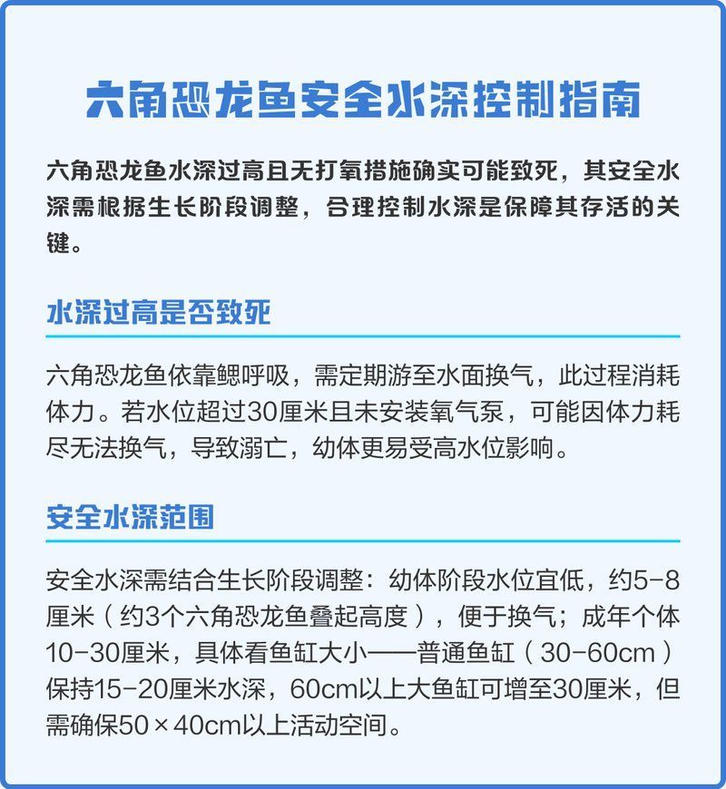 六角恐龍的最佳水位，六角恐龍分階段飼養水位對照表如何設置六角恐龍休息點 六角恐龍的最佳水位，六角恐龍分階段飼養水位對照表如何設置六角恐龍休息點 龍魚百科 第2張