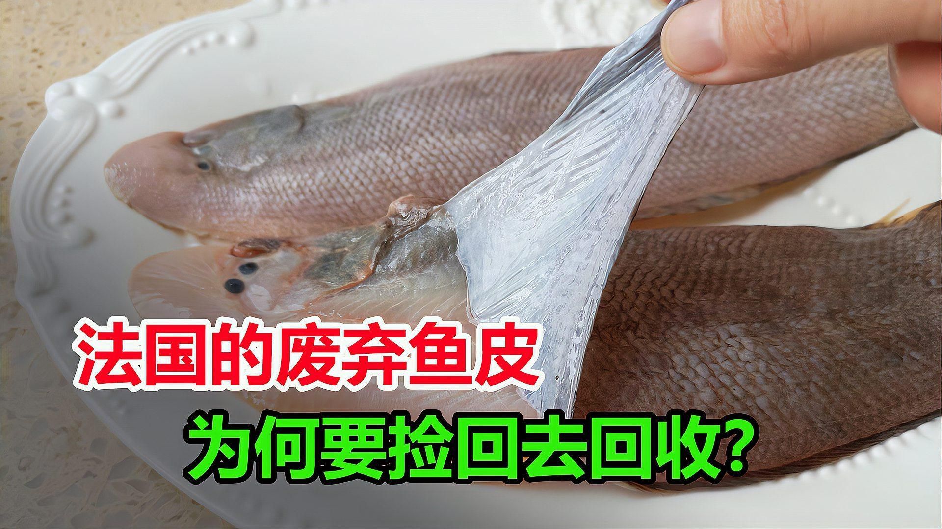 有哪些魚皮保護技巧，皮保護技巧包括：1.使用專用的魚皮保護劑，如魚皮粉等 有哪些魚皮保護技巧，皮保護技巧包括：1.使用專用的魚皮保護劑，如魚皮粉等 龍魚百科 第12張