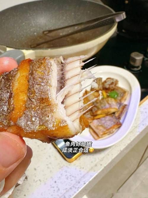 有哪些魚皮保護技巧，皮保護技巧包括：1.使用專用的魚皮保護劑，如魚皮粉等 有哪些魚皮保護技巧，皮保護技巧包括：1.使用專用的魚皮保護劑，如魚皮粉等 龍魚百科 第8張