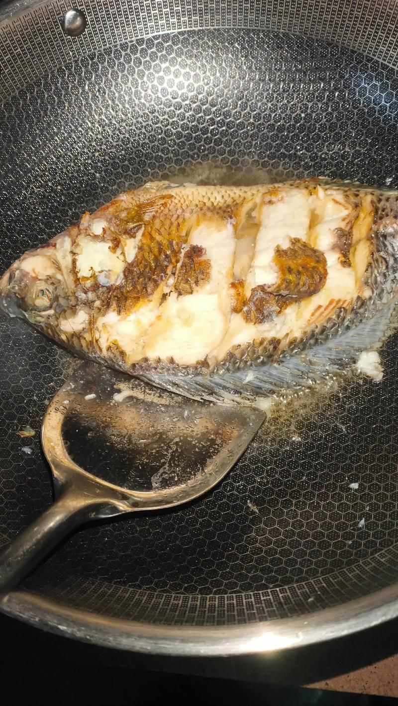 有哪些魚皮保護技巧，皮保護技巧包括：1.使用專用的魚皮保護劑，如魚皮粉等 有哪些魚皮保護技巧，皮保護技巧包括：1.使用專用的魚皮保護劑，如魚皮粉等 龍魚百科 第6張