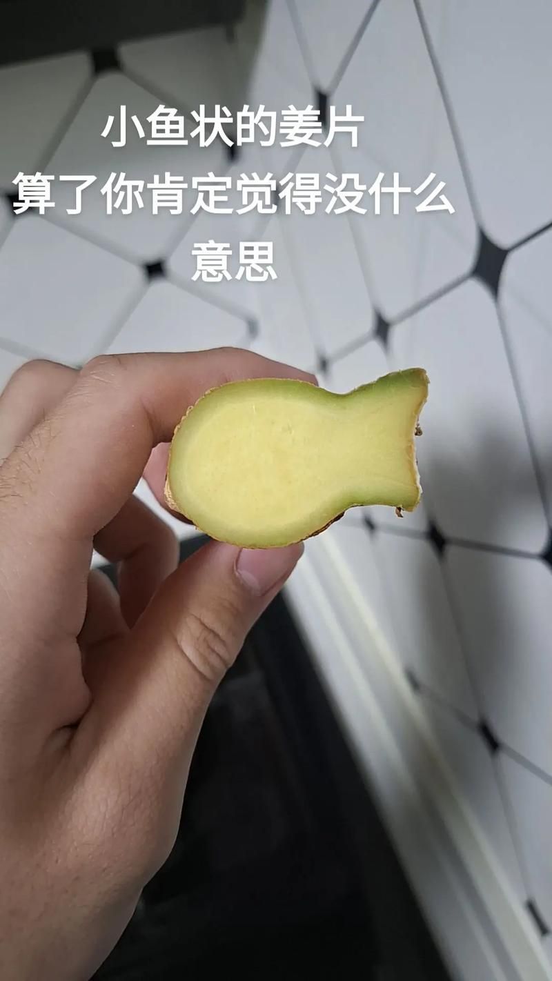 有哪些魚皮保護技巧，皮保護技巧包括：1.使用專用的魚皮保護劑，如魚皮粉等 有哪些魚皮保護技巧，皮保護技巧包括：1.使用專用的魚皮保護劑，如魚皮粉等 龍魚百科 第11張