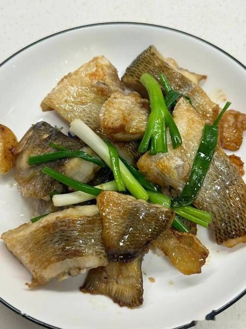 有哪些魚皮保護技巧，皮保護技巧包括：1.使用專用的魚皮保護劑，如魚皮粉等 有哪些魚皮保護技巧，皮保護技巧包括：1.使用專用的魚皮保護劑，如魚皮粉等 龍魚百科 第9張