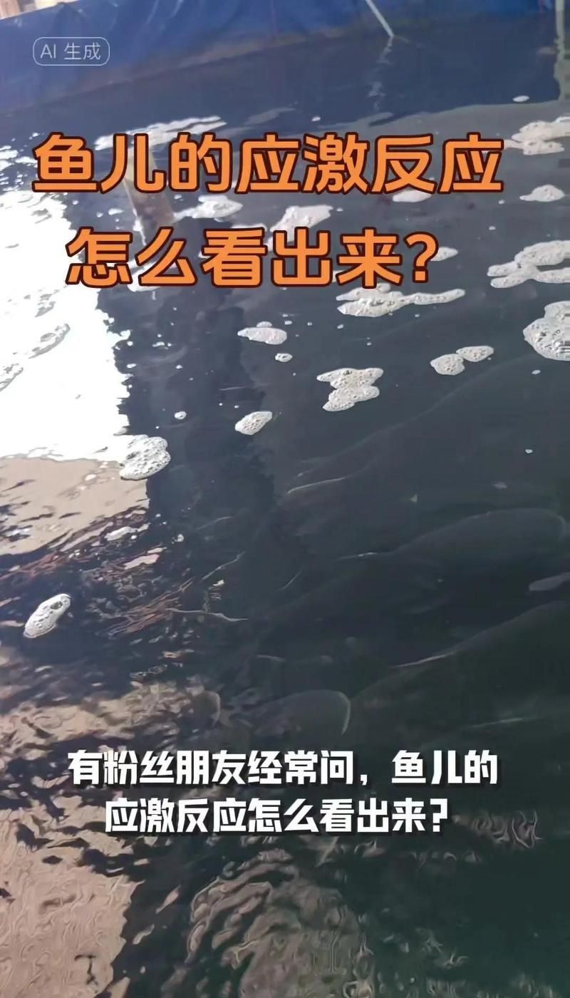 哪些行為異常是魚類的應(yīng)激反應(yīng)，英文文獻(xiàn)進(jìn)一步確認(rèn)魚類應(yīng)激反應(yīng)是其環(huán)境變化、捕食者威脅