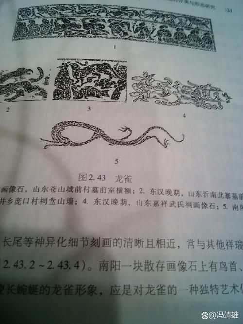 祥龍魚場的七紋巨鯉魚質量如何？，祥龍魚場的“七紋巨鯉魚”質量如何 祥龍魚場的七紋巨鯉魚質量如何？，祥龍魚場的“七紋巨鯉魚”質量如何 龍魚百科 第4張