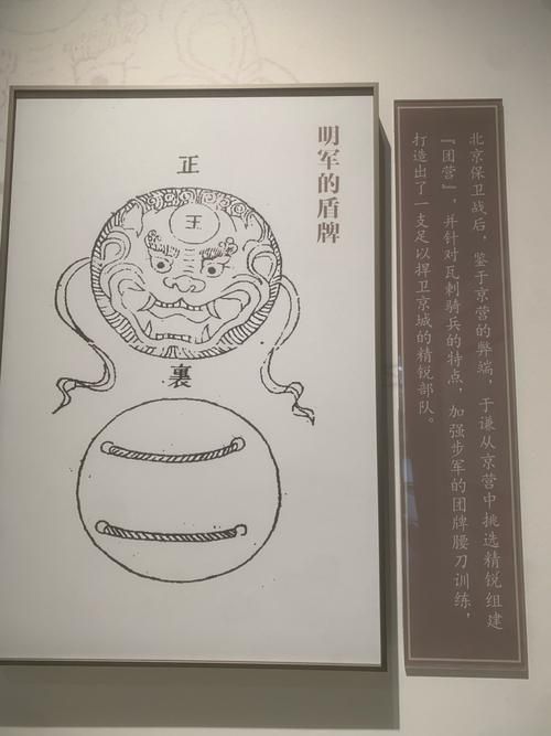 祥龍魚場的七紋巨鯉魚質量如何？，祥龍魚場的“七紋巨鯉魚”質量如何 祥龍魚場的七紋巨鯉魚質量如何？，祥龍魚場的“七紋巨鯉魚”質量如何 龍魚百科 第5張