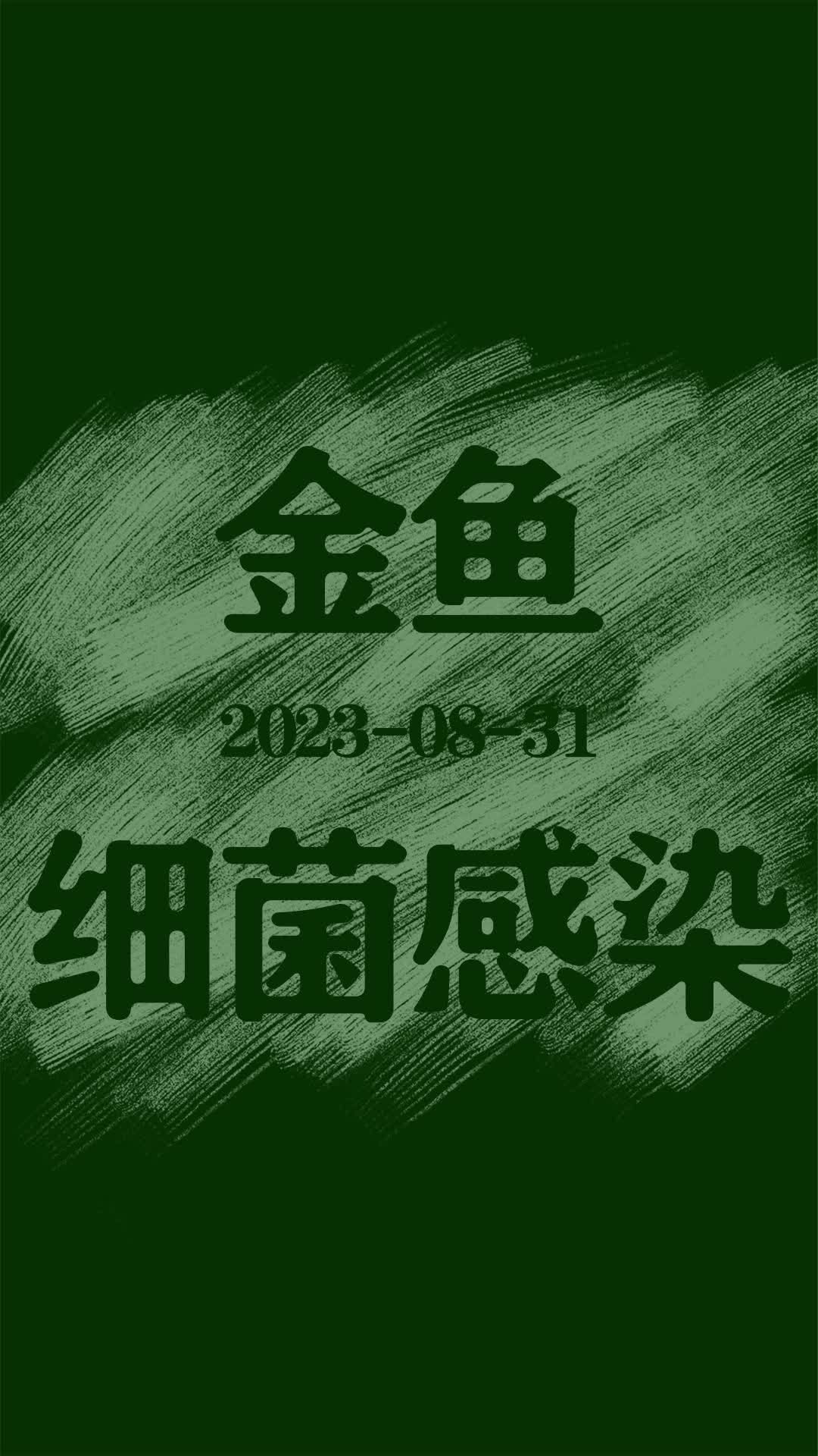 如何判斷金魚是否感染細菌，arxiv論文助手arxiv論文助手（arxiv論文助手,紅斑詳細解釋）