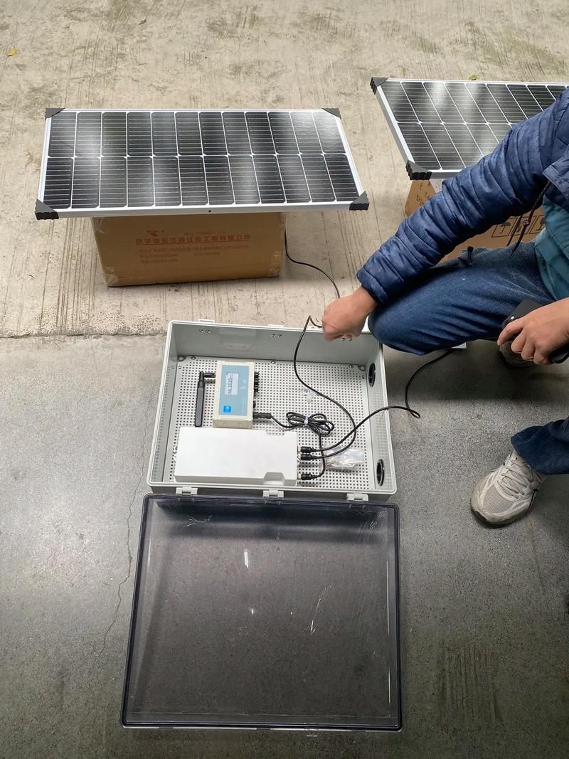 定安龍魚的養殖技術有哪些，定安龍魚養殖技術