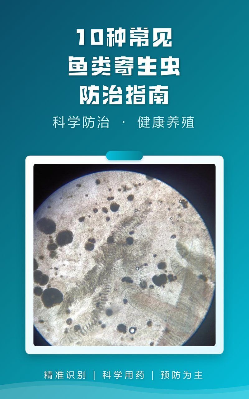 如何安全地食用魚類以避免寄生蟲感染，arxiv論文助手arxiv論文助手arxiv論文助手