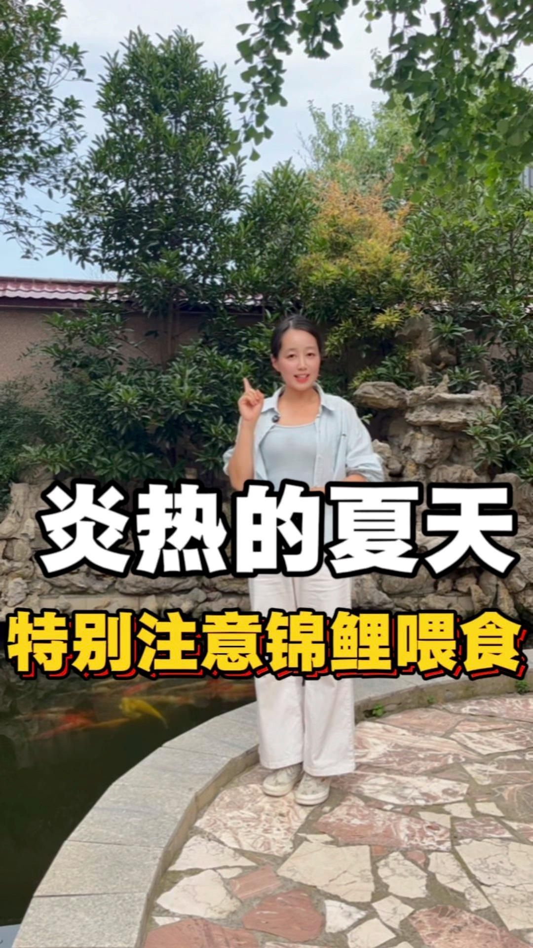 20公分錦鯉多久喂一次，20公分錦鯉多久喂一次，