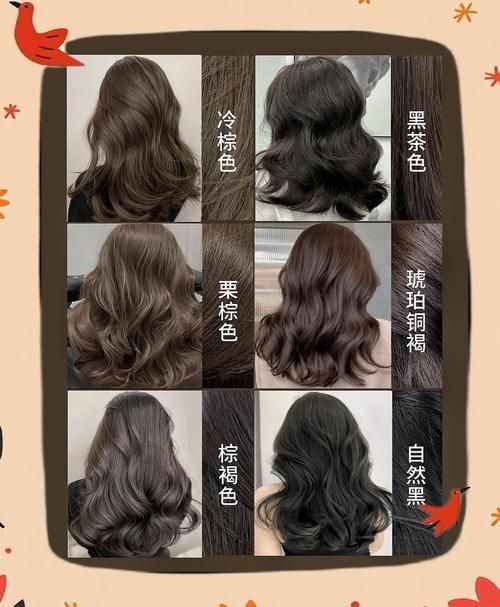 如何選擇適合的染發(fā)劑，如何選擇染發(fā)劑？ 如何選擇適合的染發(fā)劑，如何選擇染發(fā)劑？ 龍魚百科 第3張